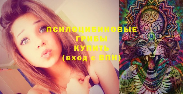 СК Аркадак