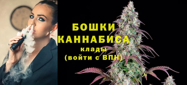 СК Аркадак