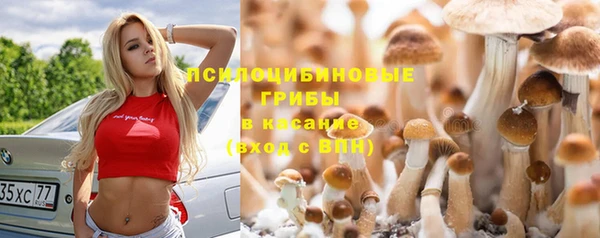 бутират Балахна